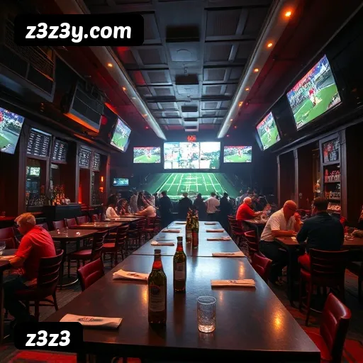 Termos e Condições Transparentes z3z3